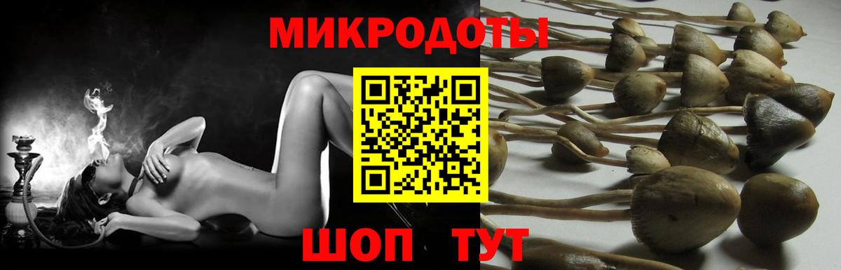 Псилоцибиновые грибы GOLDEN TEACHER Домодедово